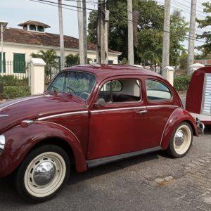 VW Beetle 1965 #F21.193