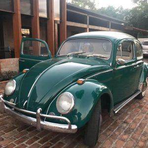 VW Beetle 1966 #F22.311
