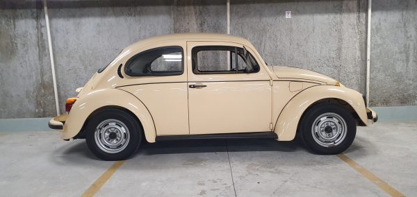 VW Beetle 1979 #F22.310