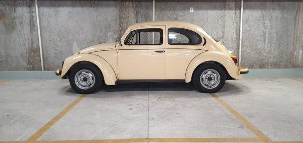 VW Beetle 1979 #F22.310