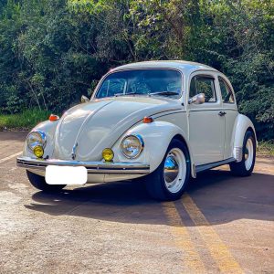 VW Beetle 1974 #F22.326