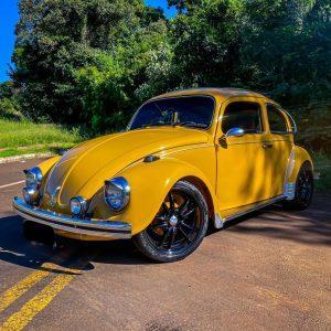 VW Beetle 1979 #F22.325