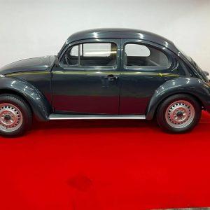 VW Beetle 1996 #F22.316