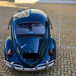 VW Beetle 1964 #F22.340