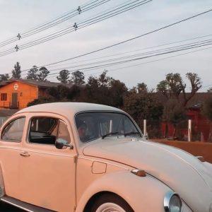 VW Beetle 1979 #F22.342
