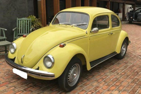 VW Beetle 1977 #F22.372