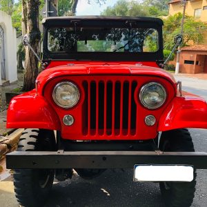 Jeep Willys 1964 #R22.009
