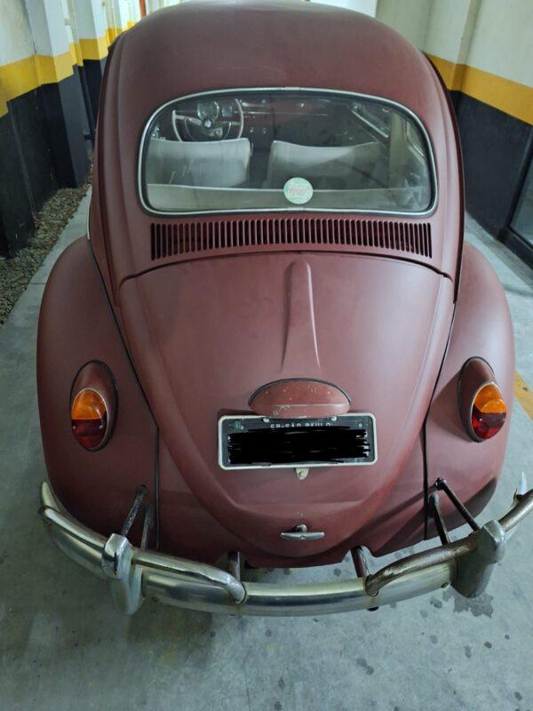 VW Beetle 1965 #F23.444