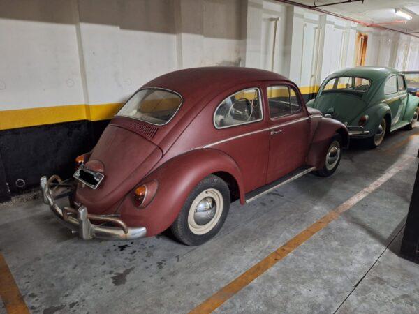 VW Beetle 1965 #F23.444