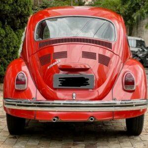 VW Beetle 1975 #F23.443